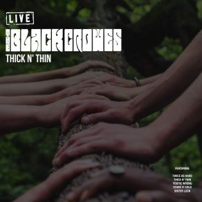 Download track Shake 'Em On Down Get Back Walk With Jesus (Live) The Black Crowes