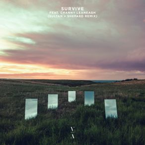 Download track Survive (Sultan + Shepard Remix) Channy LeaneaghSultan, Sultan Shepard