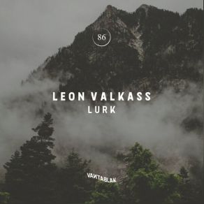 Download track Buh Bye (Original Mix) Leon Valkass