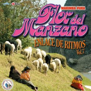 Download track Por Siempre Amigos Marimba Flor Del Manzano