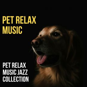 Download track Thinking About Dogs Pet Relax Music