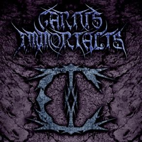 Download track ... Into Reality Carnis Immortalis