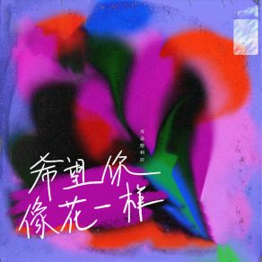 Download track 希望你像花一样 (伴奏) 耳朵便利店