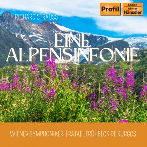 Download track Eine Alpensinfonie, Op. 64, TrV 233: Stille Vor Dem Sturm Wiener Symphoniker, Rafael Frühbeck De Burgos