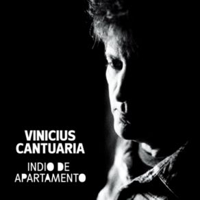 Download track Indio De Apartamento Vinicius Cantuária