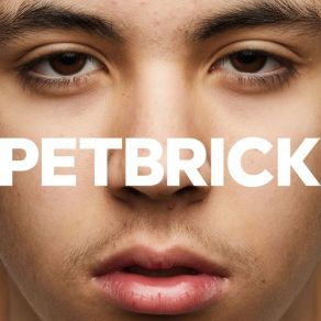 Download track Radiation Facial Petbrick