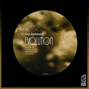 Download track Evolution (Jona AW Remix) Hakimono ZhoeJONA (AW)