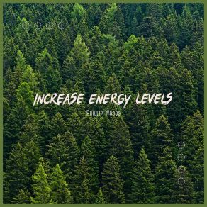 Download track Focus Power - Forest Relaxing Ambience Majestic Nova