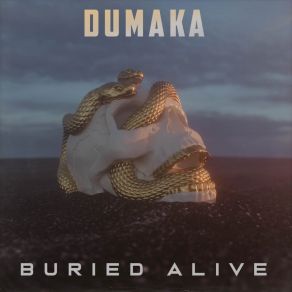 Download track Shake N Bake DUMAKA