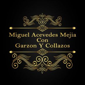 Download track La Canción Del Vaquero Miguel Acevedes Mejia