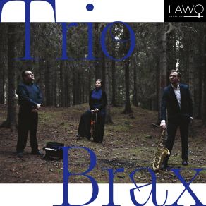 Download track Trio For Viola, Tenor Saxophone And Piano, Op. 47: V. Lebhaft. Ganze Takte Trio Brax