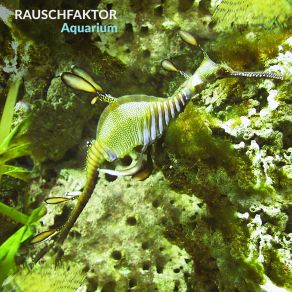 Download track Aufzug (Original Mix) Rauschfaktor