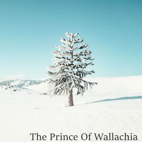 Download track The Prince Of Wallachia Shelby Roles