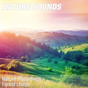 Download track Nature Sounds For Sleep, Relaxing Exercises & Shiatsu (Calming Birdsongs) 17 Nature Sounds