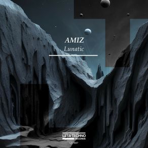 Download track Lunatic (Original Mix) Amiz