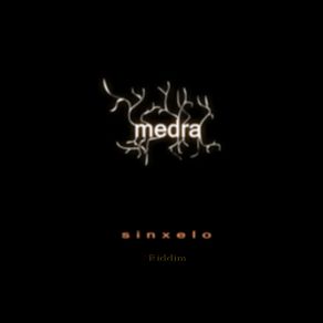 Download track Sinxelo (Ridim)  Medra