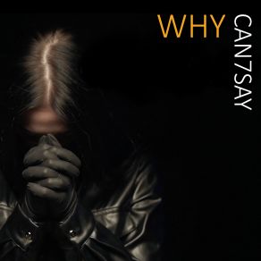 Download track Why Can7say