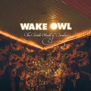 Download track Candy Return Wake Owl