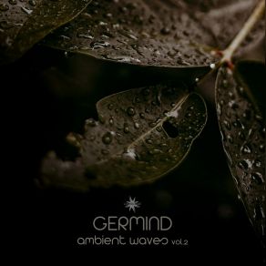 Download track Mysterious Night Forest Germind