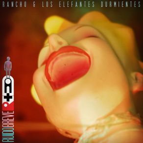 Download track Tu Lugar De Paso Los Elefantes Durmientes