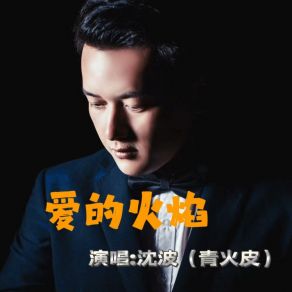 Download track 爱的火焰 (伴奏) 沈波 (青火皮)