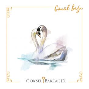 Download track Sarmal Göksel Baktagir