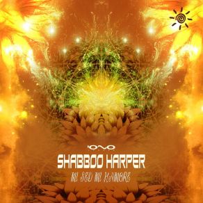 Download track Siempre Estoy Hay (Original Mix) Shabboo Harper