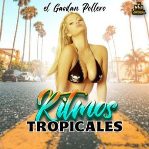 Download track Anacleto Ritmos Tropicales