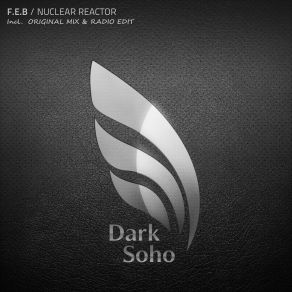 Download track Nuclear Reactor (Radio Edit) F. E. B