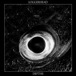 Download track Spermaceti' Loggerhead