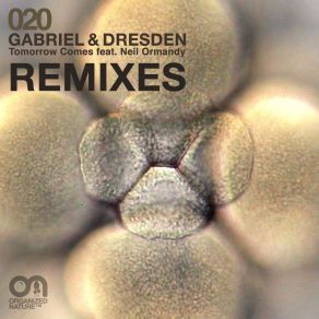 Download track Tomorrow Comes (Moska Remix) Gabriel & Dresden, Neil Ormandy