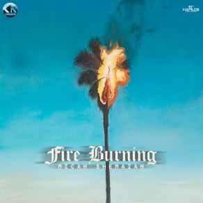 Download track Fire Burning Micah Shemaiah