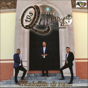 Download track Medallita De Oro Los Queridos De Capacuaro