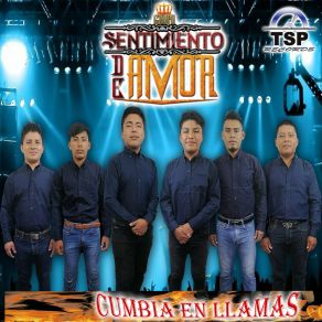 Download track No Podras Olvidarme Grupo Sentimiento De Amor