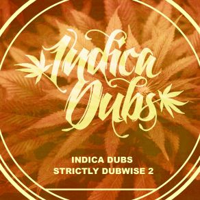 Download track The Dub Live Long Indica DubsDanman, Forward Fever