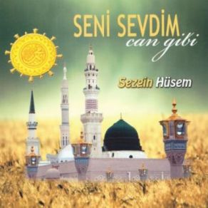 Download track Sallallahu Aleyhi Vesellem Sezgin Hüsem