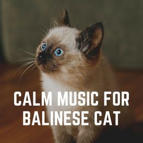 Download track Ultimate Zen Music For Your Cat, Pt. 12 Cat Music