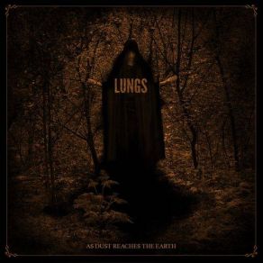 Download track Wintress The Lungs