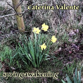 Download track The Breeze And I Caterina Valente