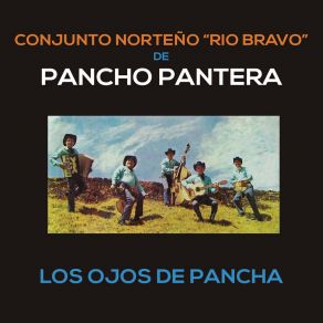 Download track Tu Lindo Nombre Conjunto Norteño Río Bravo De Pancho Pantera