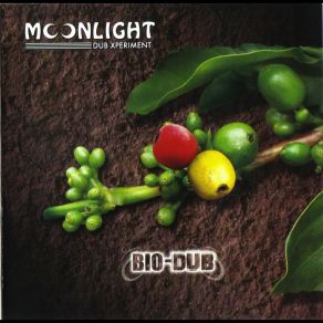 Download track I N' I Meditation Moonlight Dub Xperiment