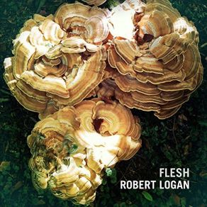 Download track Straighten Robert Logan