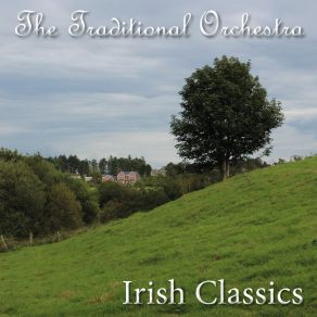 Download track The Traveling People The Traditional Orchestra