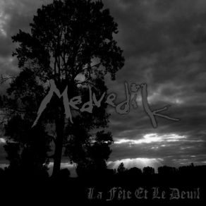 Download track Je Suis D'Ailleurs MedvediK