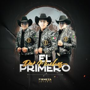 Download track Zapateando Con Firmeza Trío Firmeza Juvenil