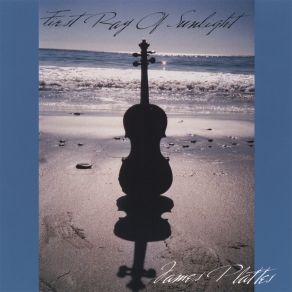 Download track The Gypsy Fiddle Player James T Plattes