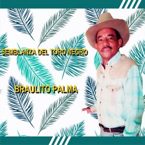 Download track La Pavita Braulito Palma