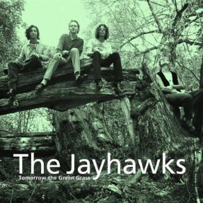 Download track Nothing Left To Borrow Jayhawks