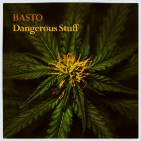 Download track Dangerous Stuff (Extended Mix) Basto