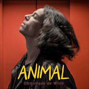 Download track Animal Dominique De Witte